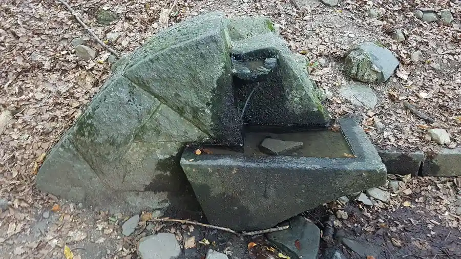 Чешма Паша бунар