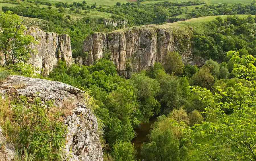 Каньонът на река Каменица