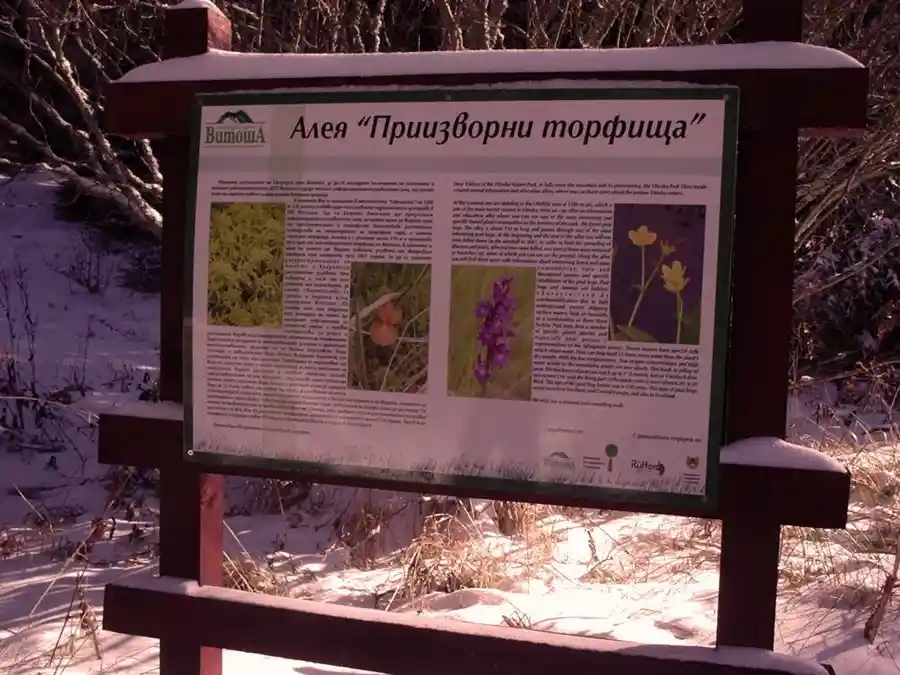Торфищна информационна алея - Витоша