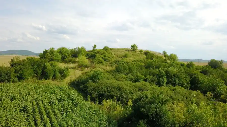 Укрепено селище "Чуктатарска" могила