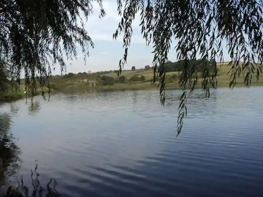 Язовир Бодрово