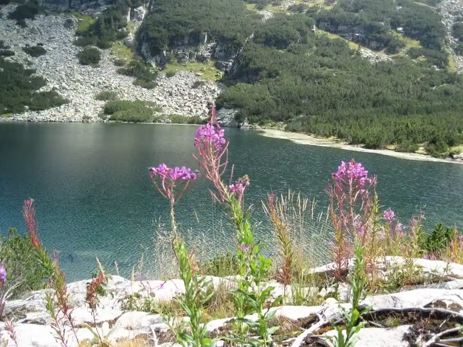 Йончево езеро