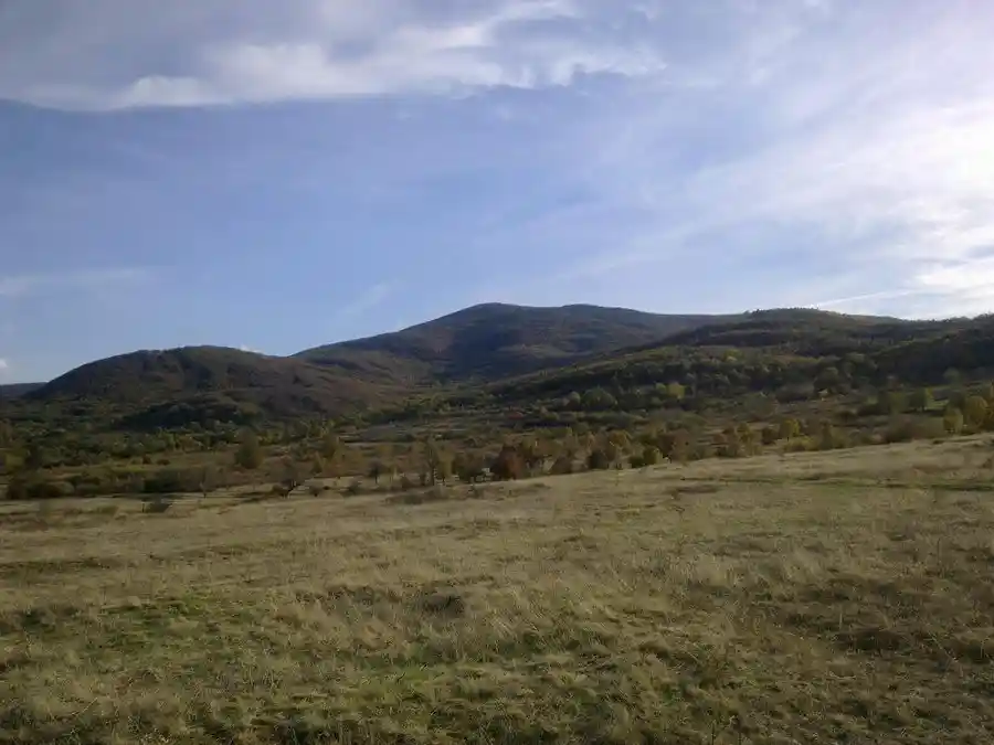 Защитена местност Връшка чука